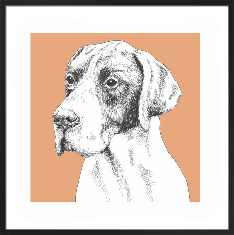 Pointer by UK Collage artist and illustrator Clare Thompson
