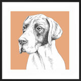 Pointer by UK Collage artist and illustrator Clare Thompson