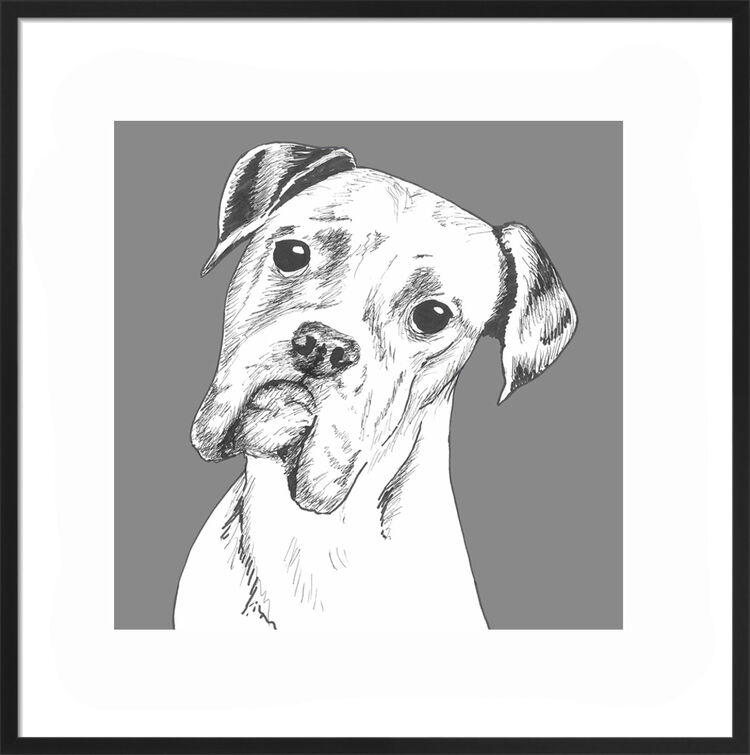Boxer by UK Collage artist and illustrator Clare Thompson
