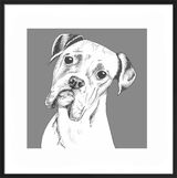 Boxer by UK Collage artist and illustrator Clare Thompson