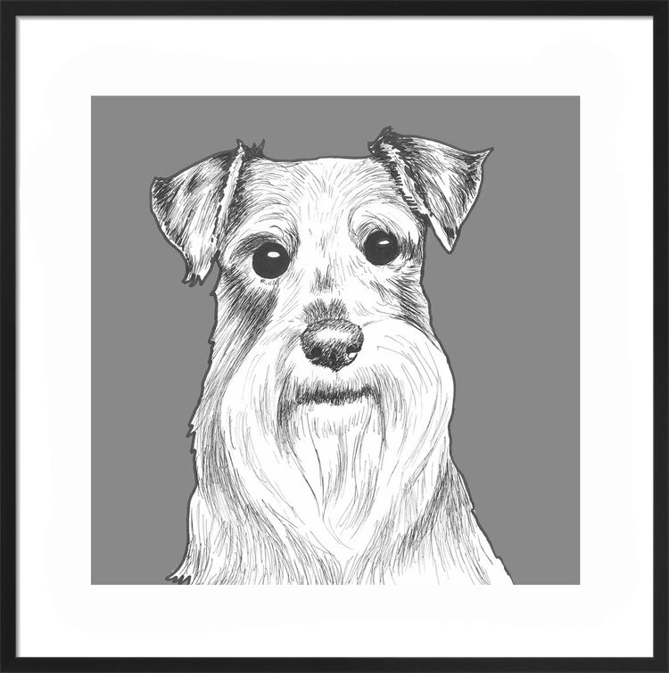 Schnauzer by UK Collage artist and illustrator Clare Thompson