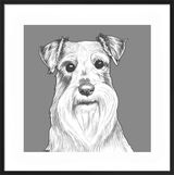 Schnauzer by UK Collage artist and illustrator Clare Thompson