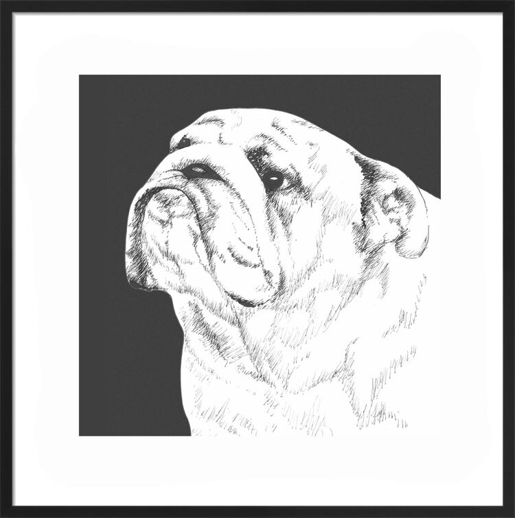 English Bulldog by UK Collage artist and illustrator Clare Thompson