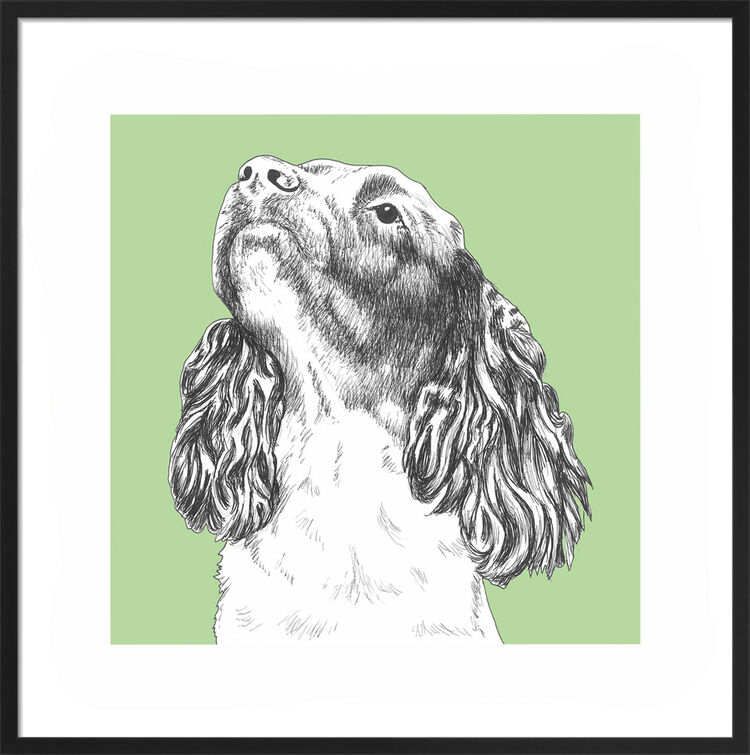 Spaniel by UK Collage artist and illustrator Clare Thompson