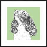 Spaniel by UK Collage artist and illustrator Clare Thompson