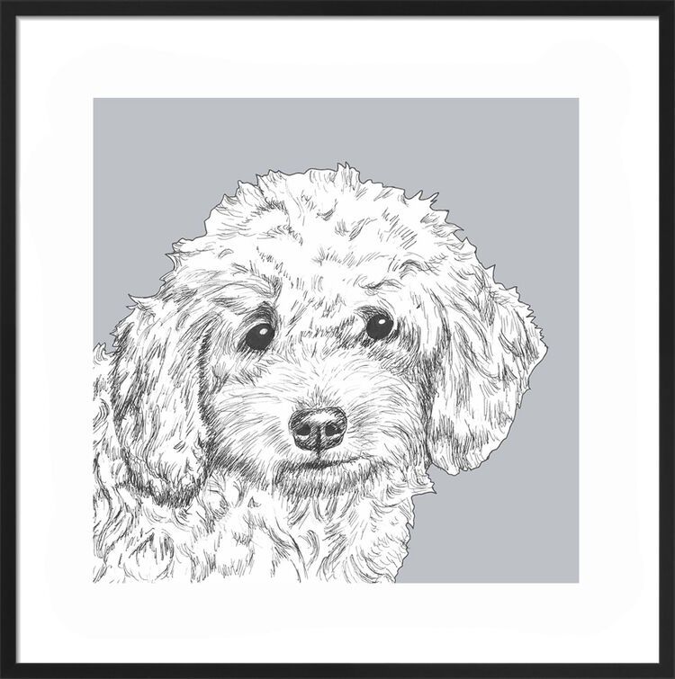 Cockapoo by UK Collage artist and illustrator Clare Thompson