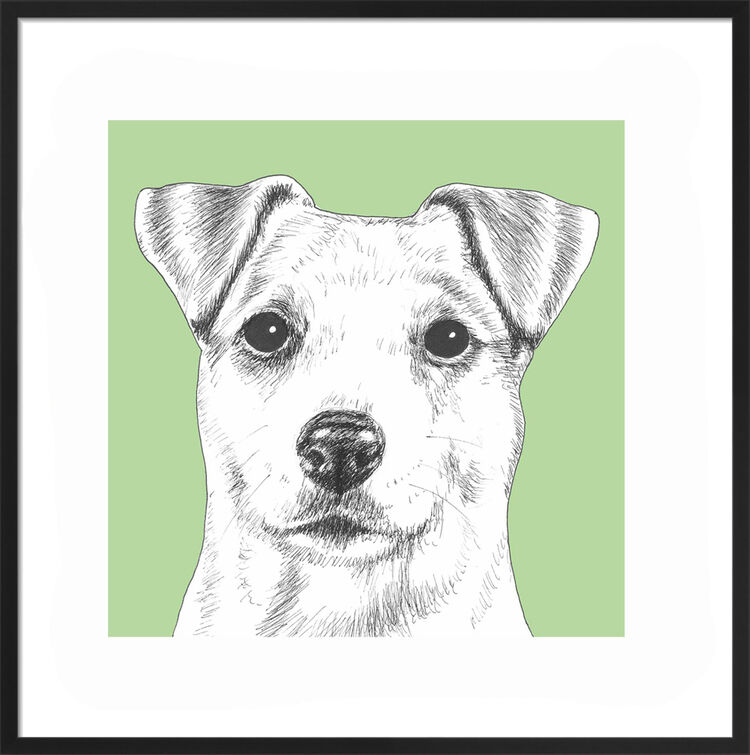 Jack Russell by UK Collage artist and illustrator Clare Thompson