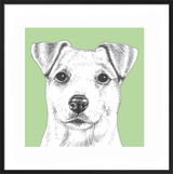 Jack Russell by UK Collage artist and illustrator Clare Thompson