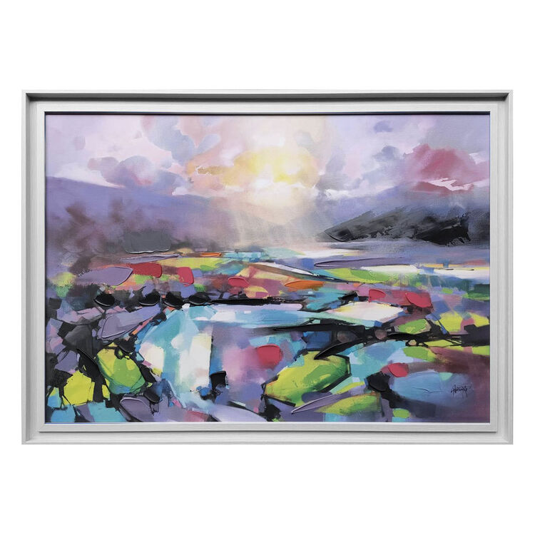 Sublime Light Framed Canvas Art Print by Scott Naismith