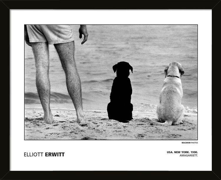 Elliott Erwitt - USA New York. Amagansett. Framed Art Print by Magnum Photos
