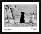 Elliott Erwitt - USA New York. Amagansett. Framed Art Print by Magnum Photos