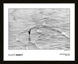 Elliott Erwitt - Brighton 1966 Framed Art Print by Magnum Photos