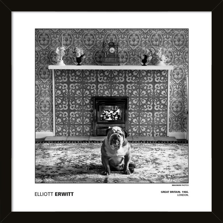 Elliott Erwitt - Great Britain. 1966. London. Framed Art Print by Magnum Photos