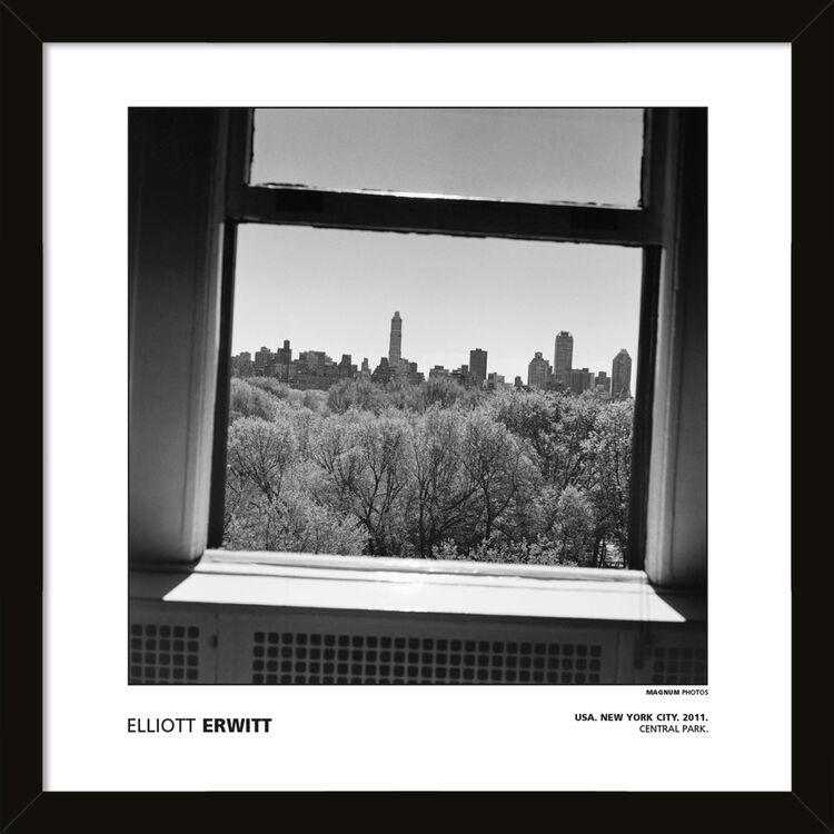 Elliott Erwitt - USA. New York City. 2011. Central Park.