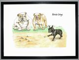 Boule Dogs Framed Art Print by Clare Walton