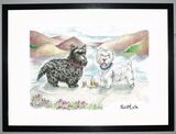 Scotch Framed Art Print by Clare Walton