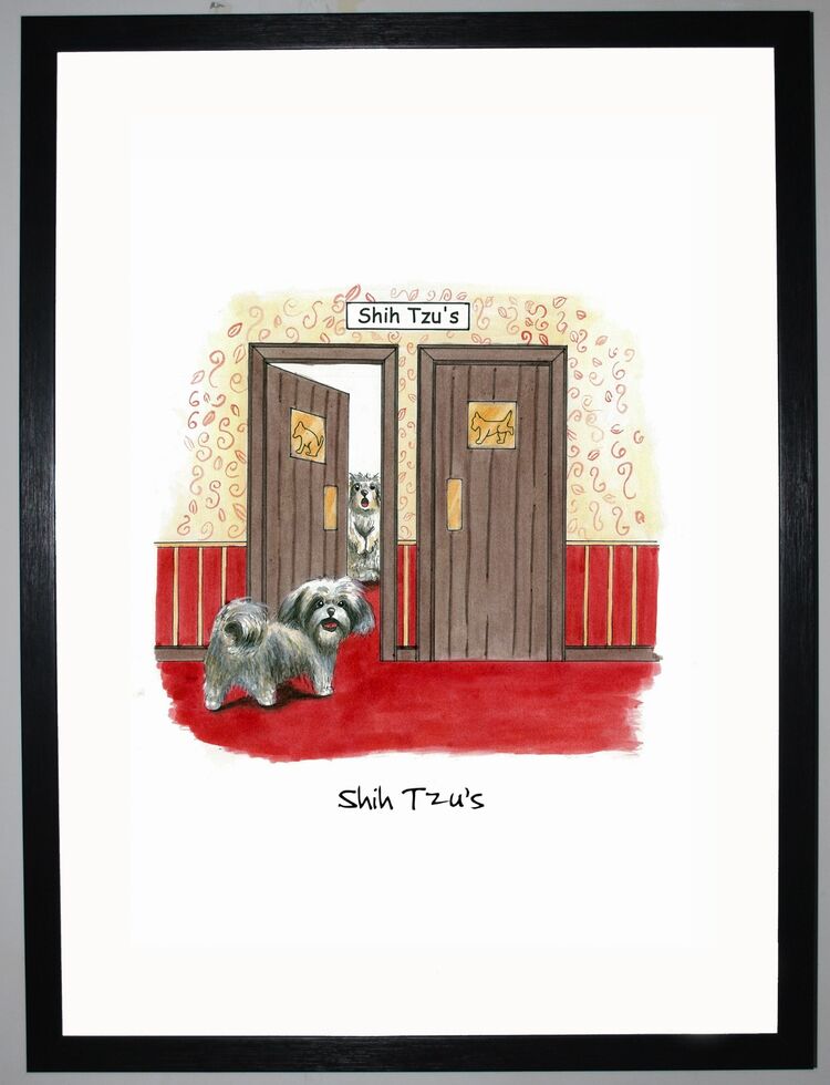 Shih Tzu's Framed Art Print By Clare Walton