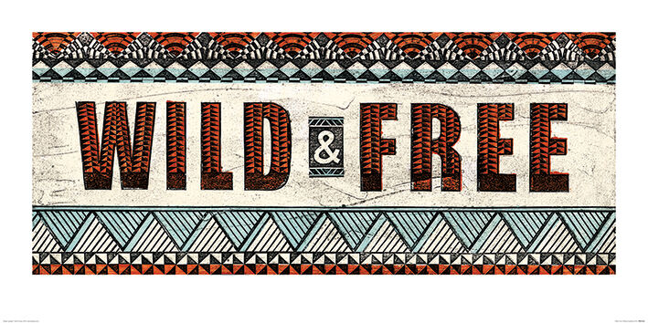 Wild & Free Framed Art Print by Barry Goodman