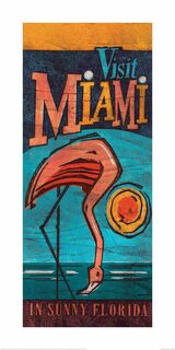 Visit Miami Framed Art Print by Barry Goodman
