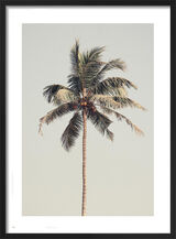 Palm Tree by the Beach Framed Art Print by Victoria Frost