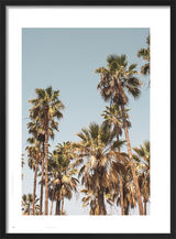 Palm Trees Framed Art Print by Victoria Frost