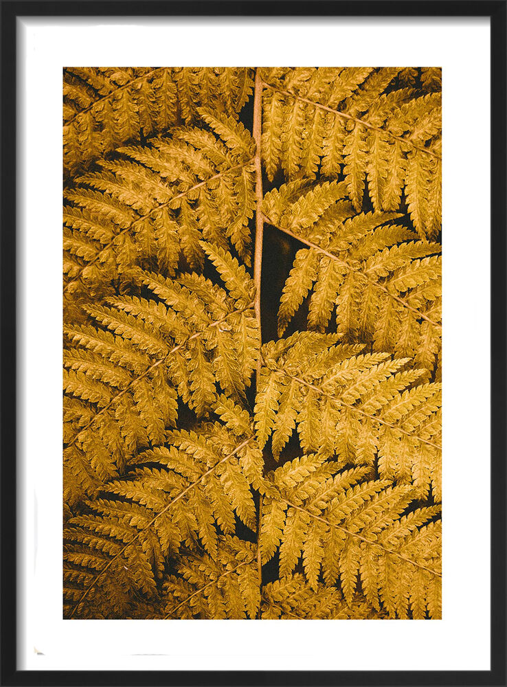 Gold Leaf II Framed Art Print by Victoria Frost