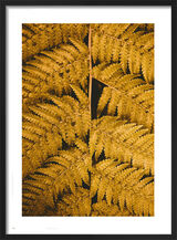Gold Leaf II Framed Art Print by Victoria Frost