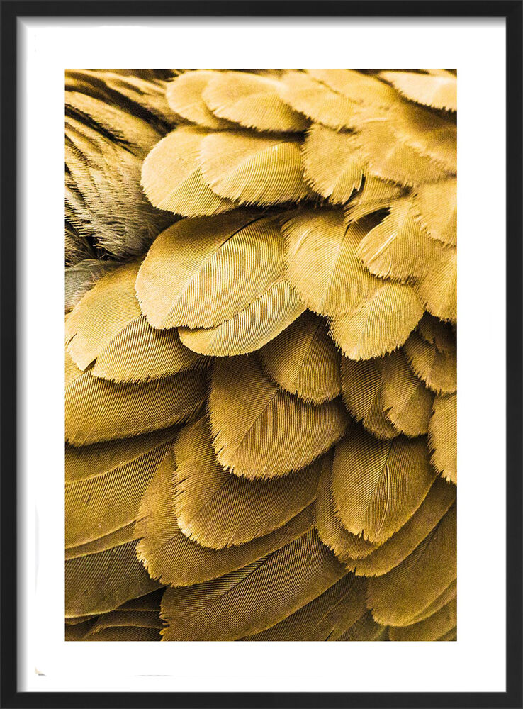 Golden Feathers Framed Art Print by Victoria Frost