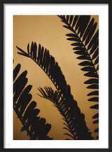 Golden Shaded Palm Leaves Framed Art Print by Victoria Frost