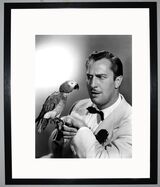 Vincent Price Framed Art Print by Silver Screen Stars