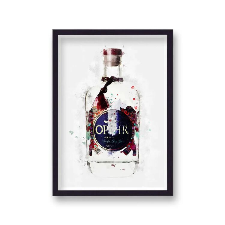 Ophir Gin Graphic Splash Print Roku Inspired Framed Art Print
