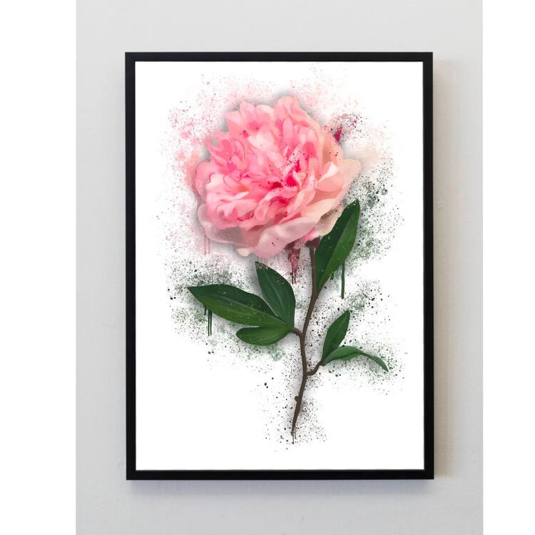 Pink Peony Flower Plant Splatter Print