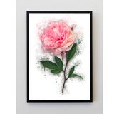 Pink Peony Flower Plant Splatter Print