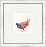 True Gent - Pheasant - Game Birds Framed Limited Edition Art Print by Kay Johns