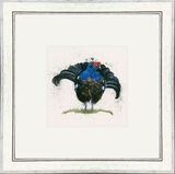 Squire (Black Grouse) - Game Birds Framed Limited Edition Art Print by Kay Johns