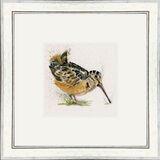 The Woodsman (Woodcock) - Game Birds Framed Limited Edition Art Print by Kay Johns