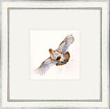 Earl Grey (Grey Partridge) - Game Birds Framed Limited Edition Art Print by Kay Johns