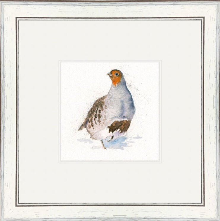 The Englishman (Grey Partridge) - Game Birds Framed Limited Edition Art Print by Kay Johns