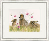 Poppy Appeal - Hares Framed Limited Edition Art Print by Kay Johns