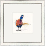 Only Me - Pheasant - Game Birds Framed Limited Edition Art Print by Kay Johns