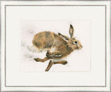 Too Da Loo- Hares Framed Limited Edition Art Print by Kay Johns
