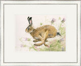 Thistle on the Wind- Hares Framed Limited Edition Art Print by Kay Johns