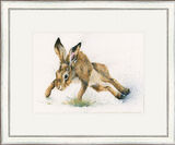 Twister- Hares Framed Limited Edition Art Print by Kay Johns
