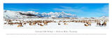 Grand Teton (Elk) Panoramic Art Print by James Blakeway Panoramas