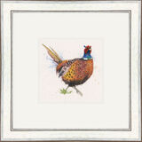 Lord of the Manor- Pheasant - Game Birds Framed Limited Edition Art Print by Kay Johns