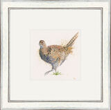 Lady of the Manor- Pheasant - Game Birds Framed Limited Edition Art Print by Kay Johns