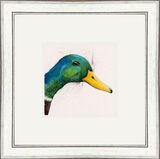 Peeking Duck (Mallard) - Farmyard Animals Framed Limited Edition Art Print by Kay Johns