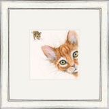 Peeping Tom - Dogs and Cats Framed Limited Edition Art Print by Kay Johns