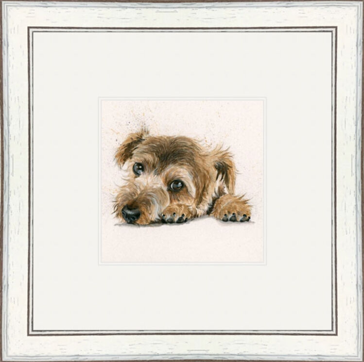Bootiful (Border Terrier)- Dogs and Cats Framed Limited Edition Art Print by Kay Johns