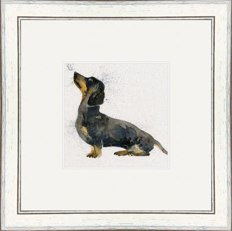 Banger (Dachshund)- Dogs and Cats Framed Limited Edition Art Print by Kay Johns